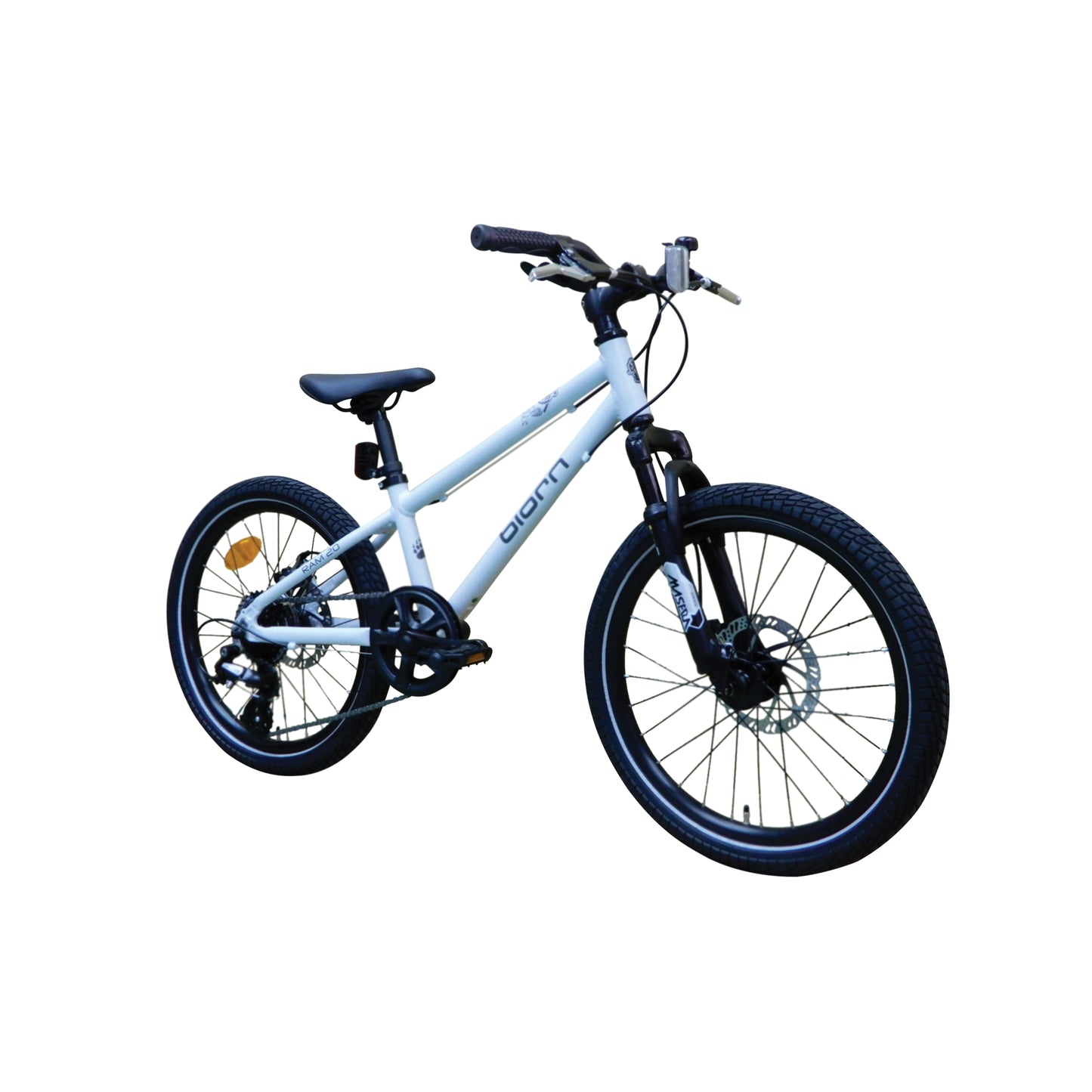 RAM 20"